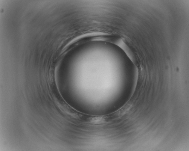 X0000076270088200610122306