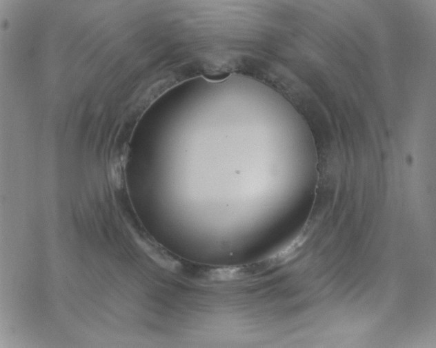 X0000076270090200610122306