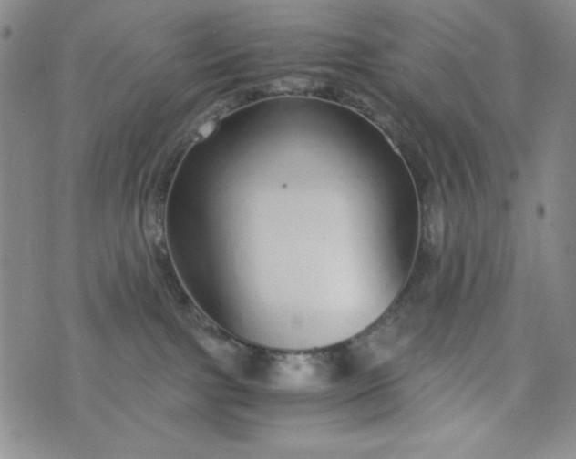 X0000076270091200610122306