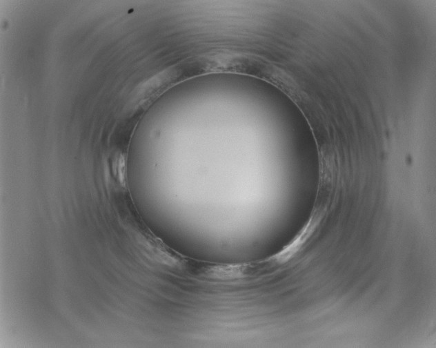 X0000076270094200610122306