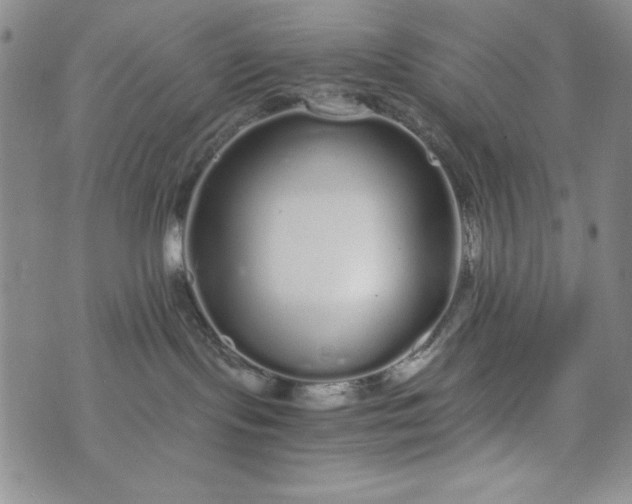 X0000076270095200610122306