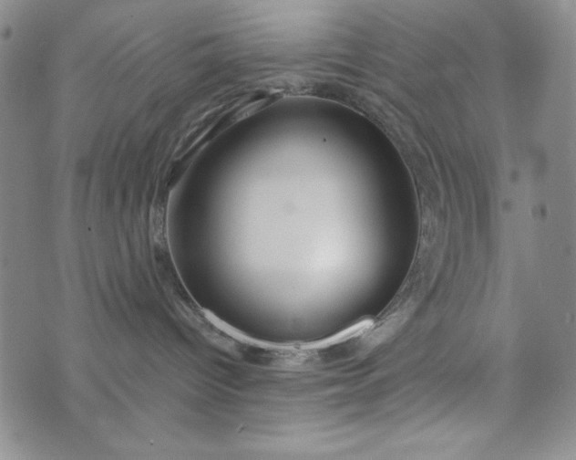 X0000076270096200610122306