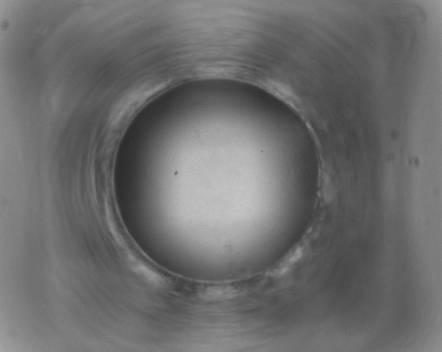 X0000076270097200610122305