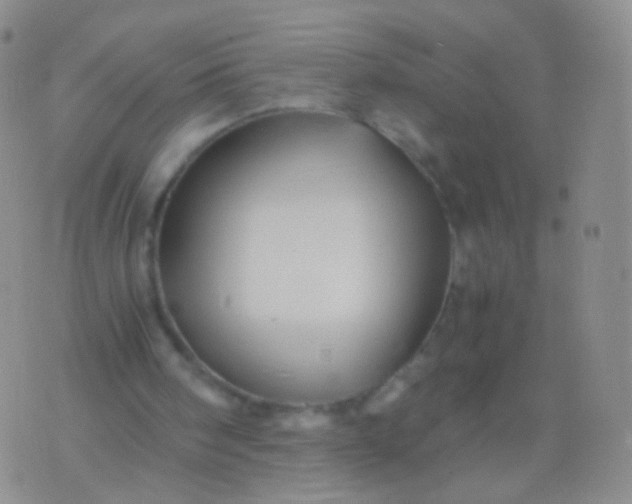 X0000076270098200610122305