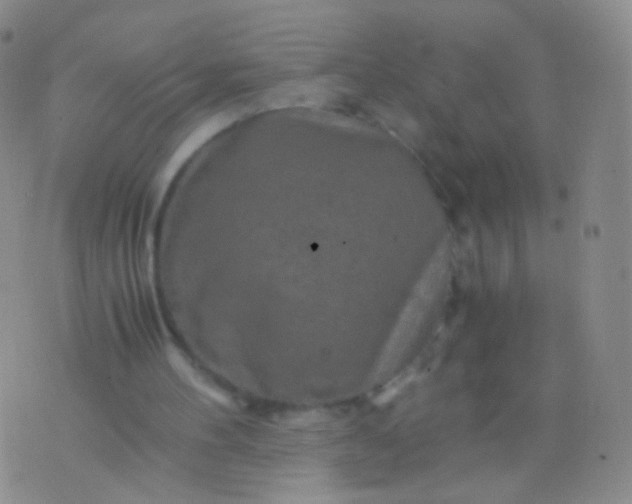 X0000076270100200610122305