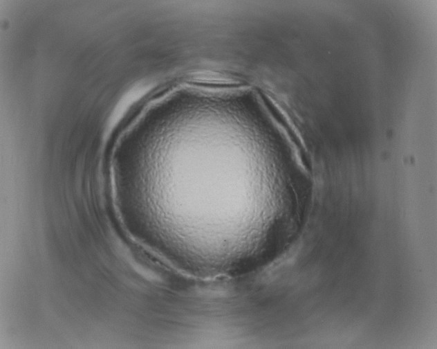 X0000076270102200610122305