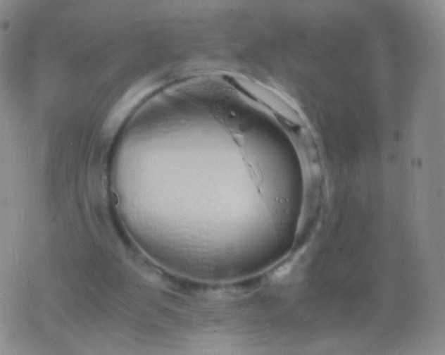 X0000076270103200610122305