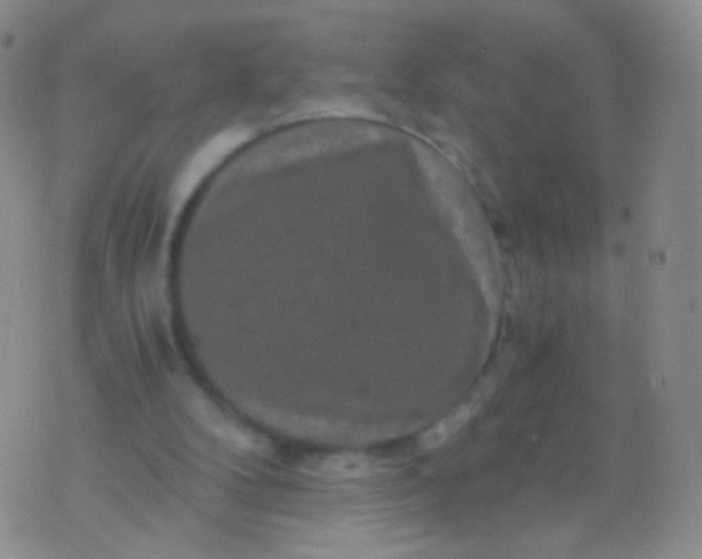 X0000076270104200610122305