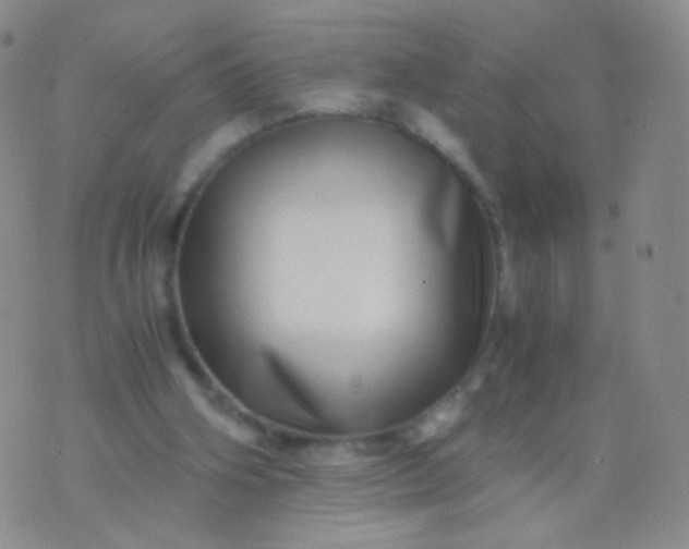 X0000076270106200610122305