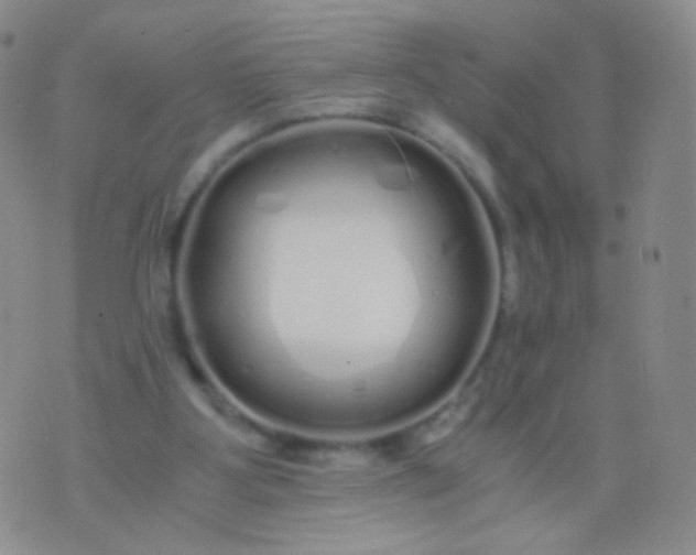 X0000076270107200610122305