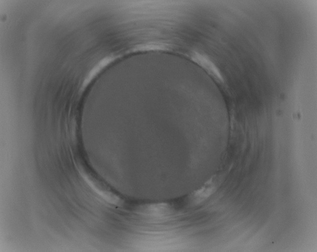 X0000076270108200610122305