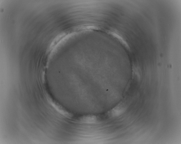 X0000076270110200610122305