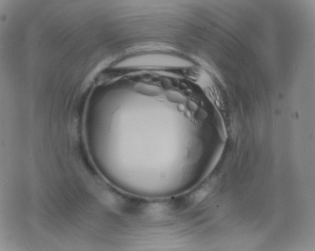 X0000076270111200610122305