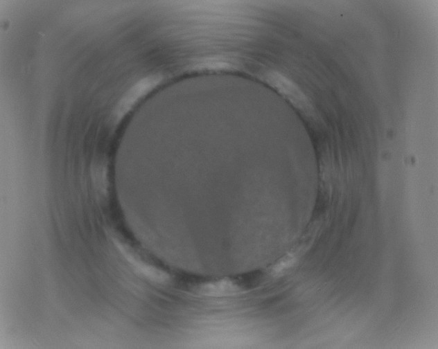 X0000076270112200610122305