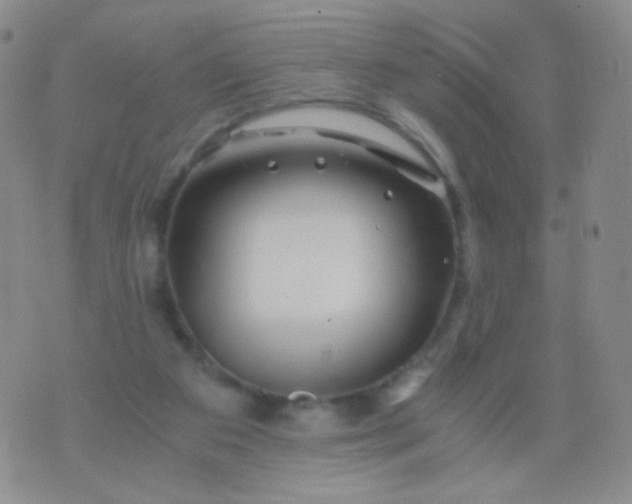 X0000076270113200610122305