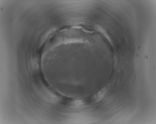 X0000076270114200610122305