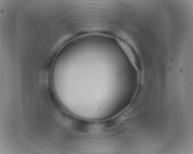 X0000076270115200610122305