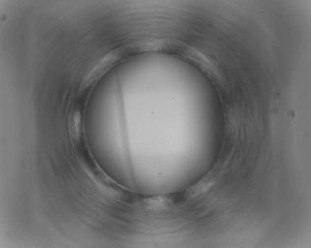 X0000076270118200610122305