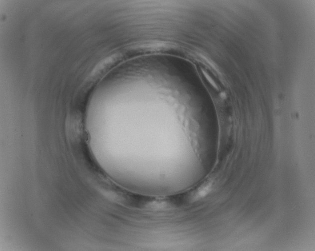 X0000076270119200610122305