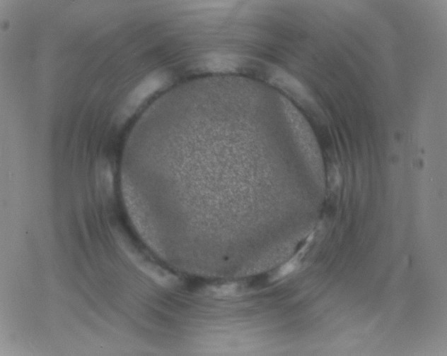 X0000076270120200610122305