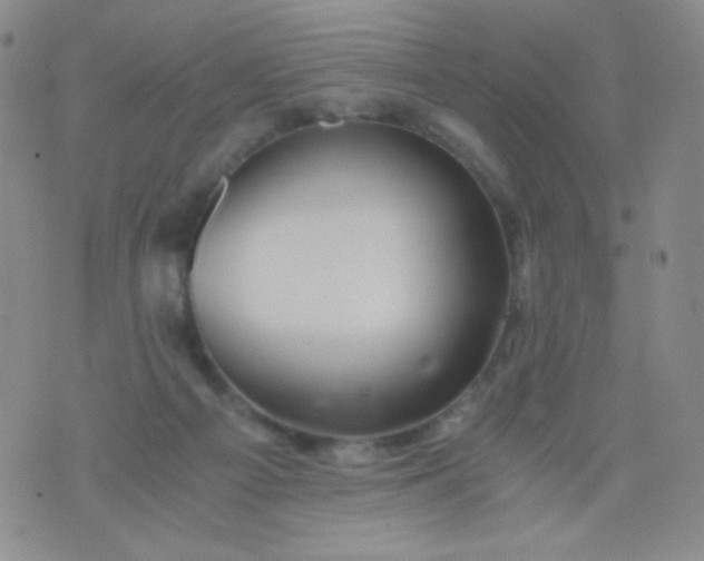 X0000076270121200610122305