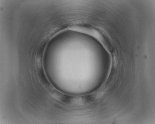 X0000076270123200610122305