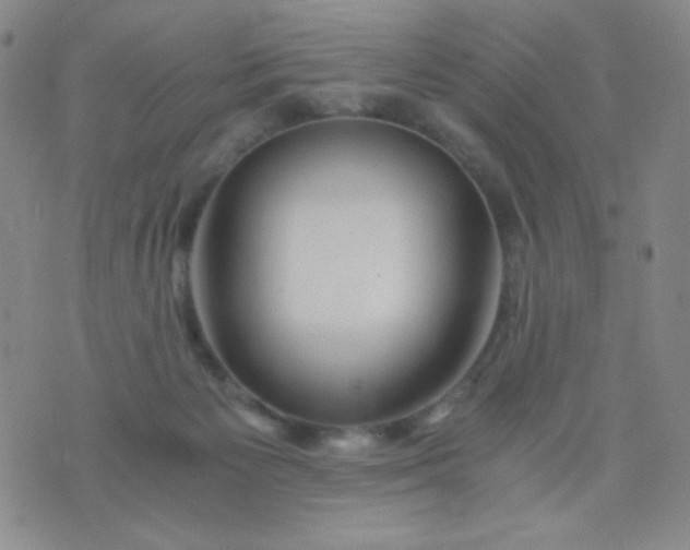 X0000076270125200610122305