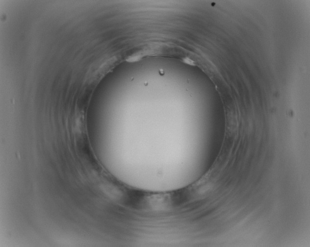 X0000076270126200610122305