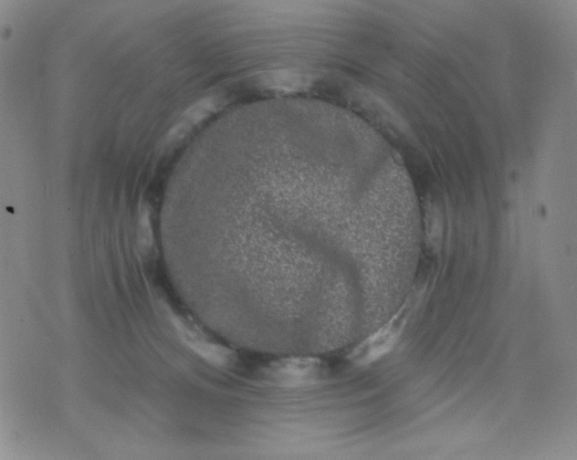 X0000076270128200610122304