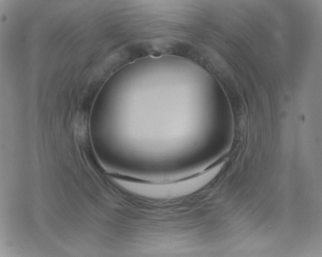 X0000076270129200610122304