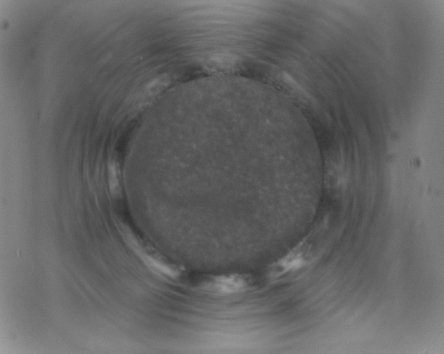 X0000076270130200610122304