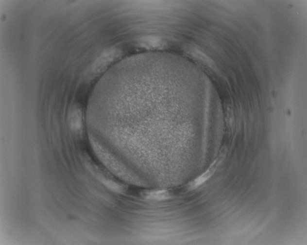 X0000076270132200610122304