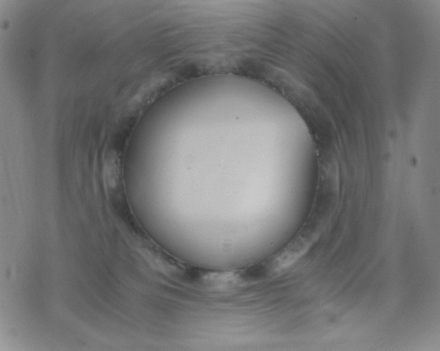 X0000076270133200610122304