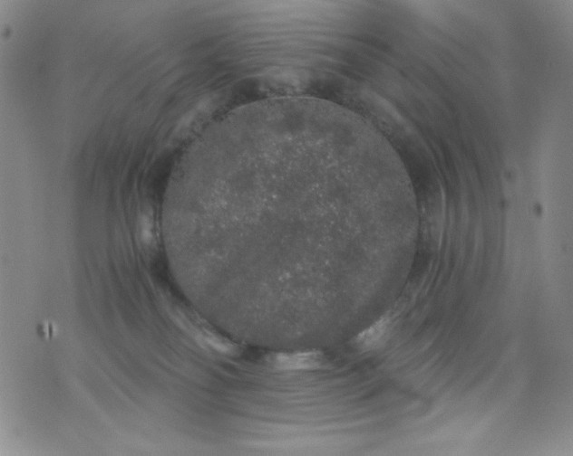 X0000076270134200610122304