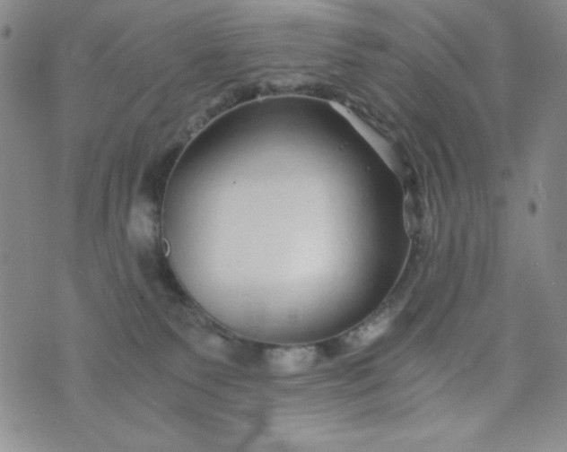 X0000076270135200610122304