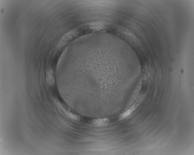 X0000076270136200610122304