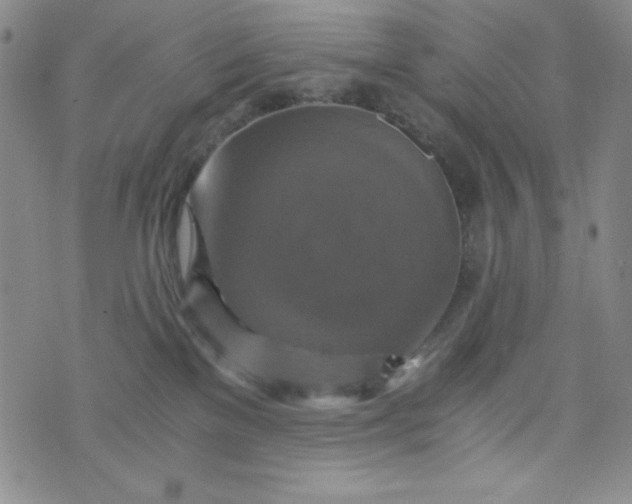 X0000076270137200610122304