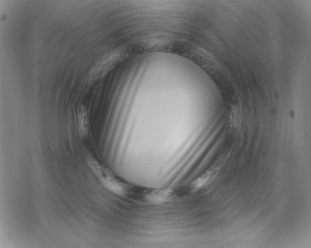 X0000076270138200610122304