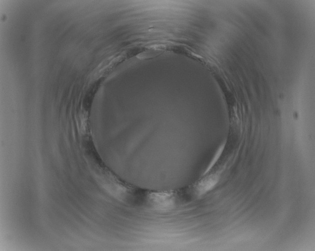 X0000076270139200610122304