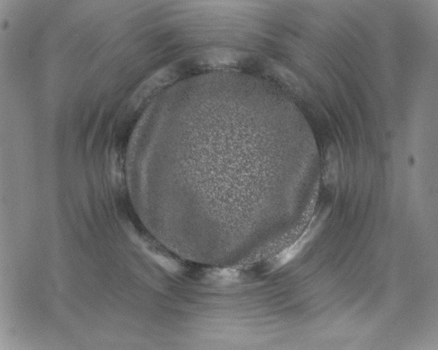 X0000076270140200610122304