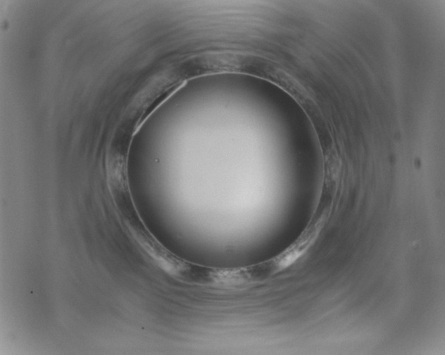 X0000076270141200610122304