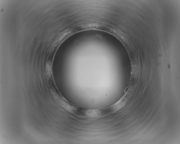 X0000076270142200610122304