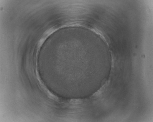 X0000076270145200610122303