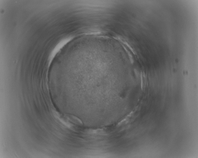 X0000076270147200610122303