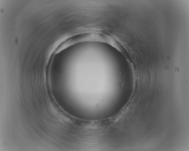 X0000076270148200610122303