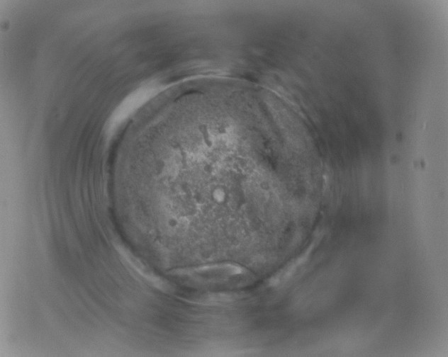 X0000076270149200610122304