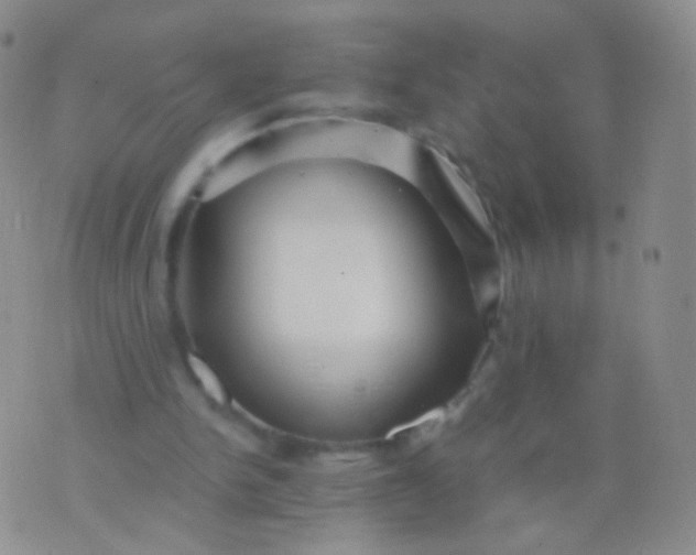 X0000076270150200610122304