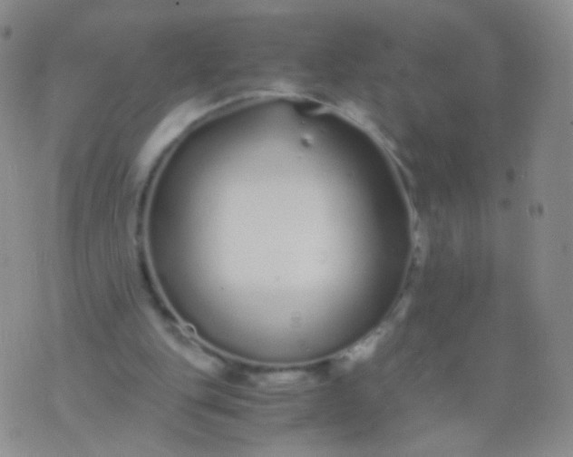 X0000076270151200610122304