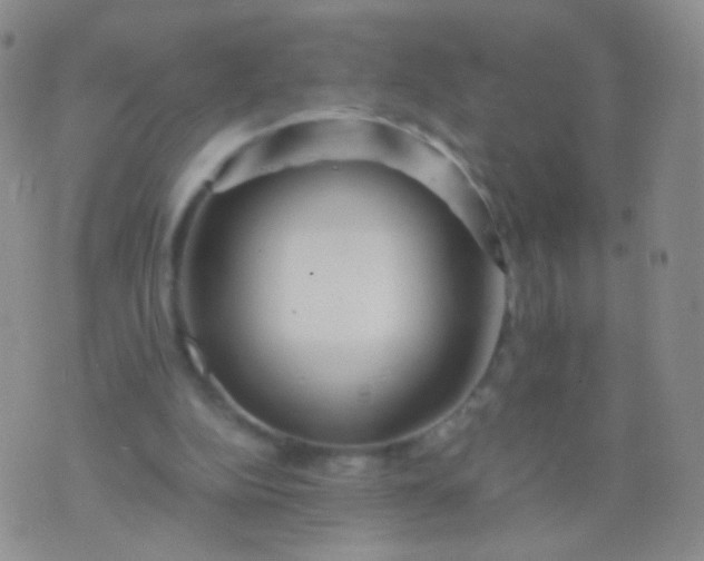 X0000076270152200610122304