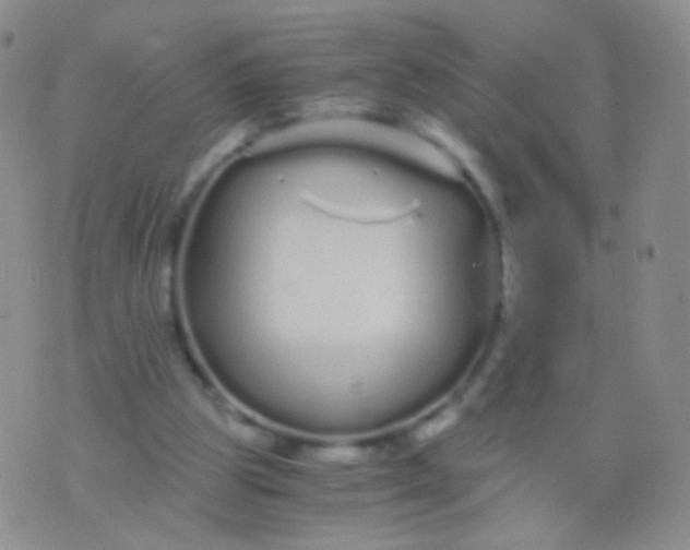 X0000076270153200610122304